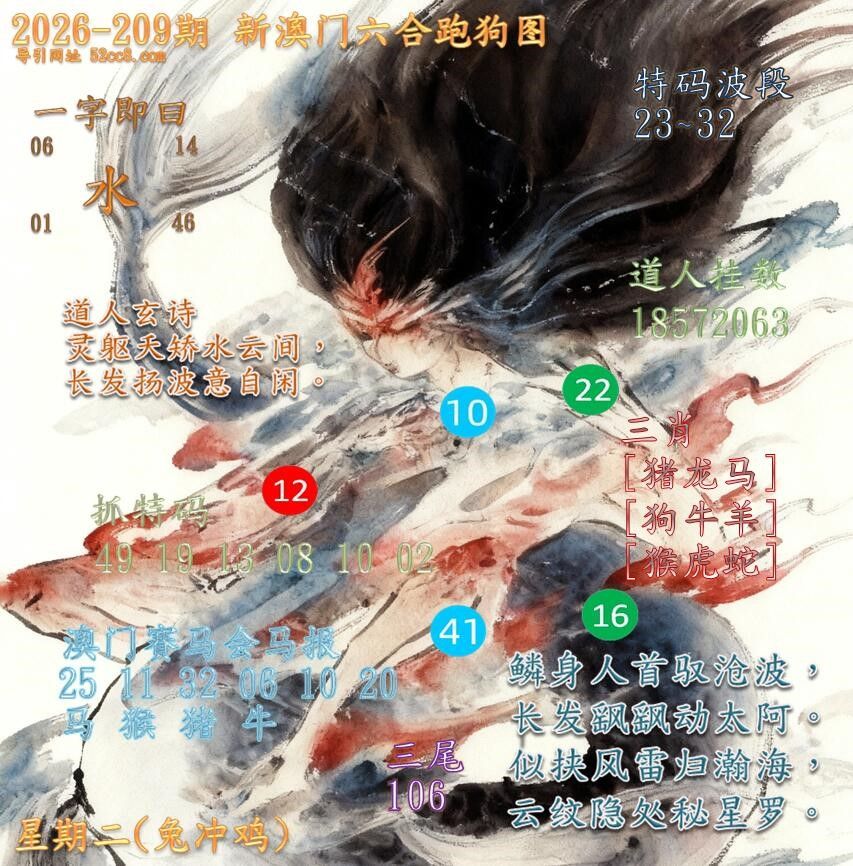 新澳门六合跑马图209期