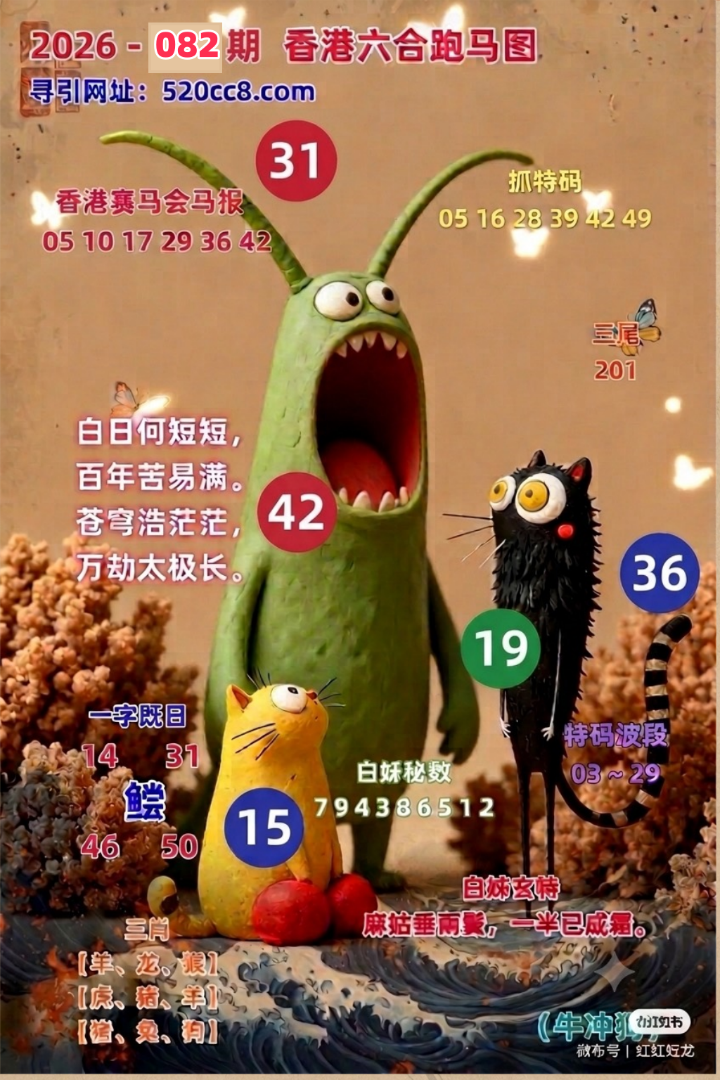 香港六合082期