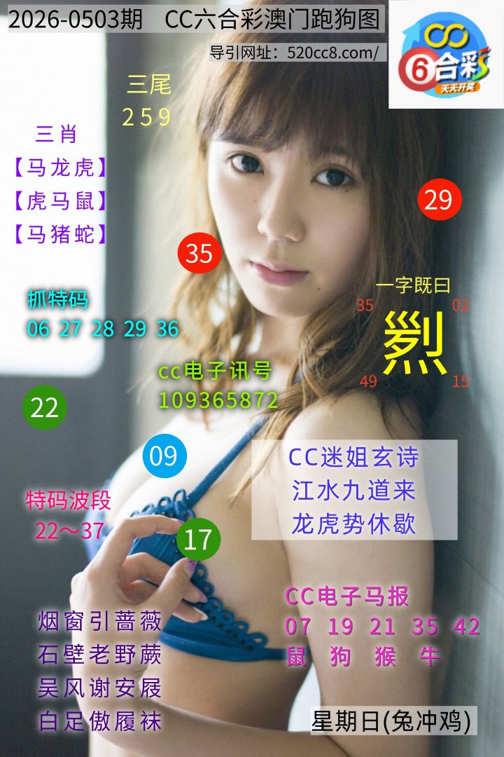 CC六合澳门跑马图0503期